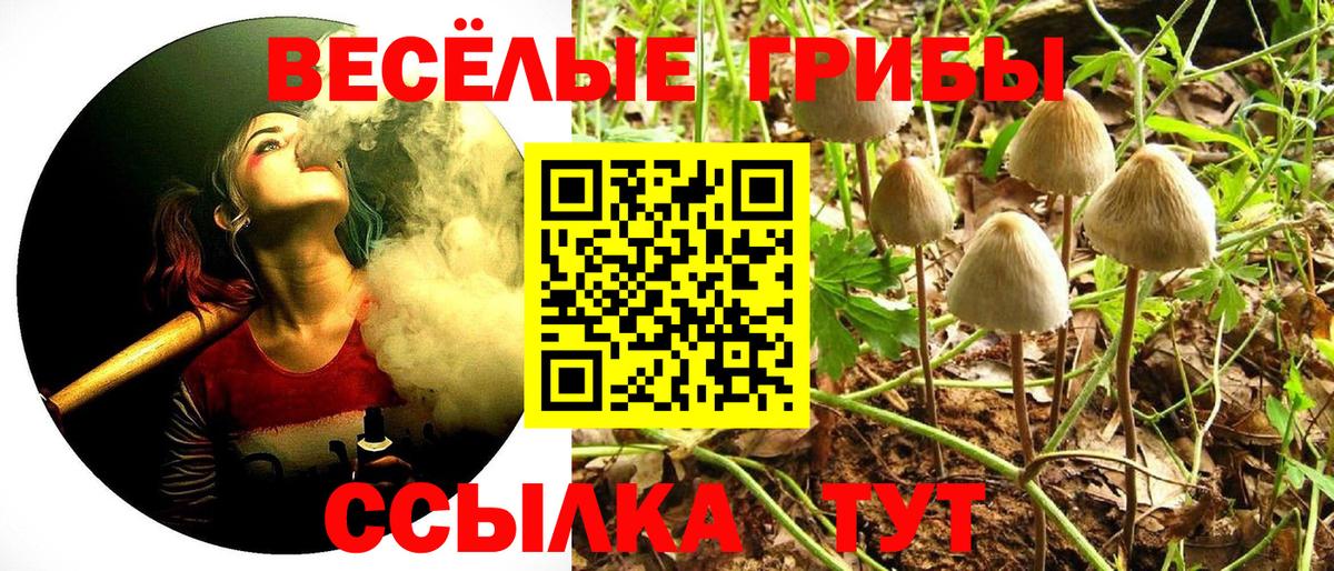 Псилоцибиновые грибы GOLDEN TEACHER  Вход с VPN  Новоалтайск 